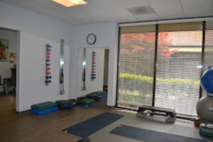 Proactive Physical Therapy About us