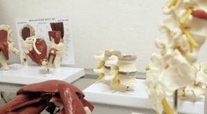 Proactive Physical Therapy Homepage